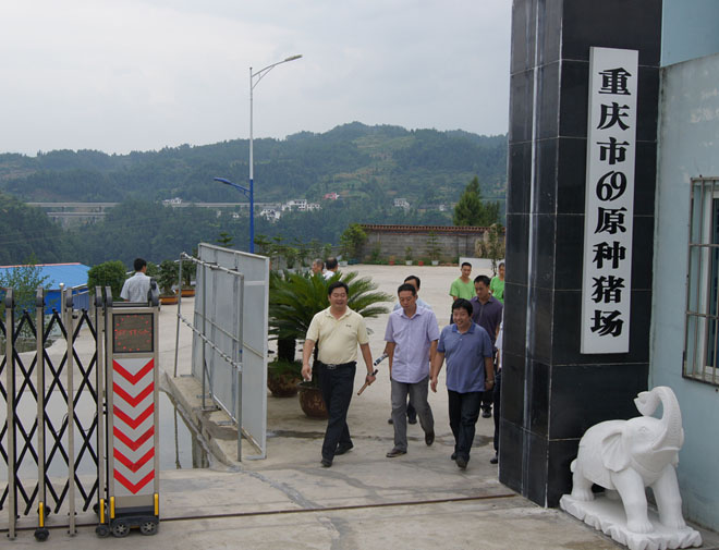 國家鄉(xiāng)村振興局副局長、原黔江區(qū)委書記洪天云視察重慶69